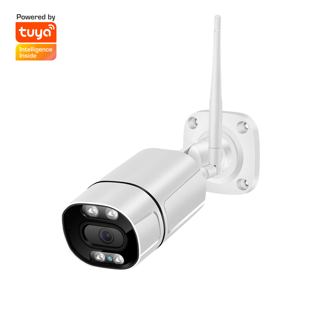 Home Security Land - Telecamera IP Bullet da Esterno 3MP