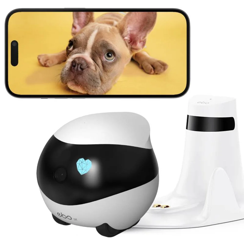 Home Security Robot Dog - SE Robot con telecamera per cani