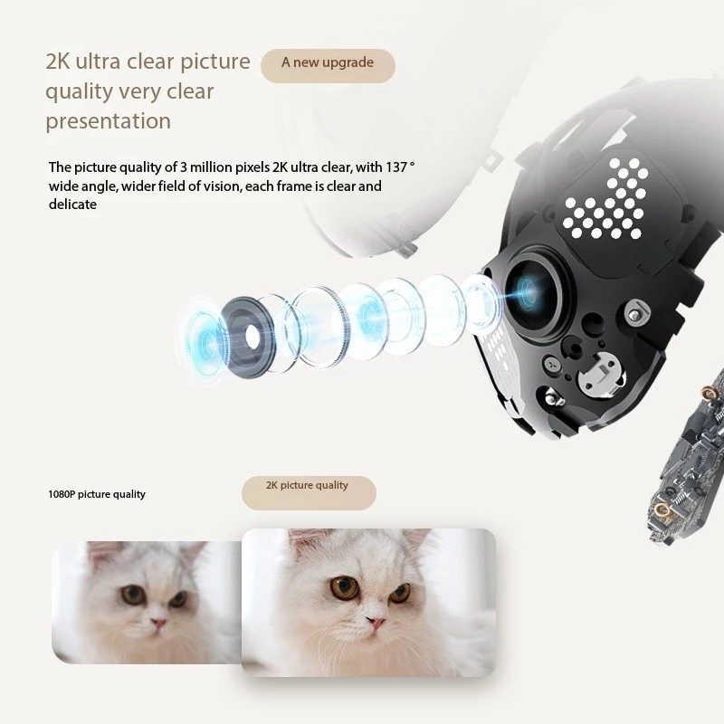 Enabot EBO AIR 2 Robot compagn - Home Security Robot Dog recensione e prezzo