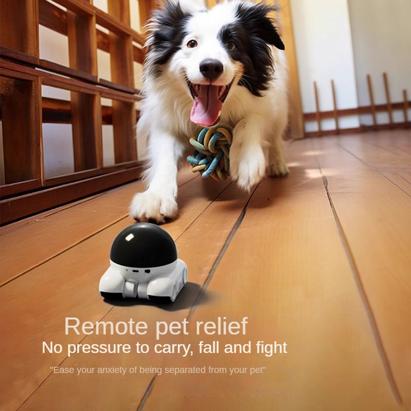 Smart Dual Lens IP Dome Robot  - Home Security Robot Dog recensione e prezzo