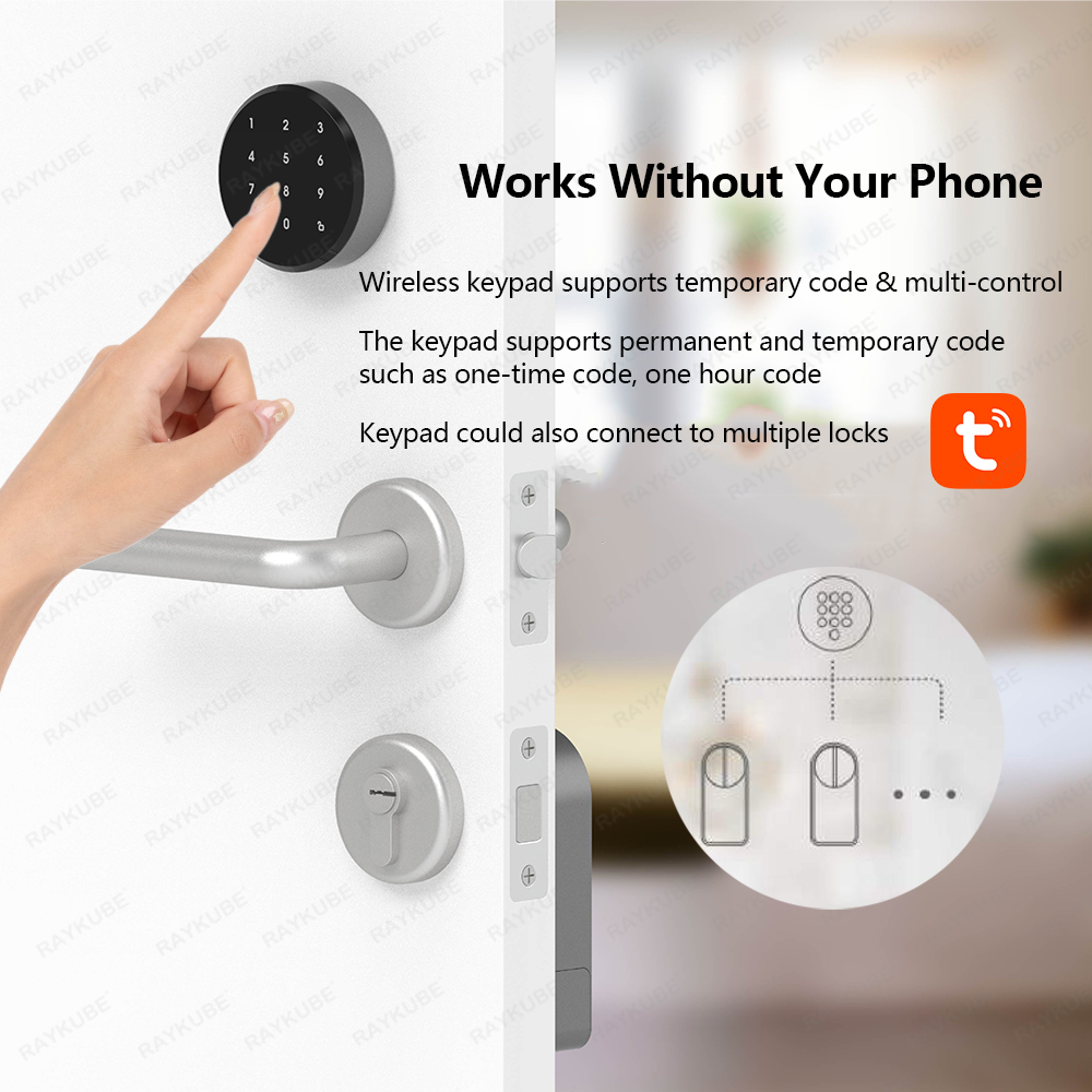RAYKUBE A1 Pro Tuya BEL Set se - Home Security Door Lock recensione e prezzo