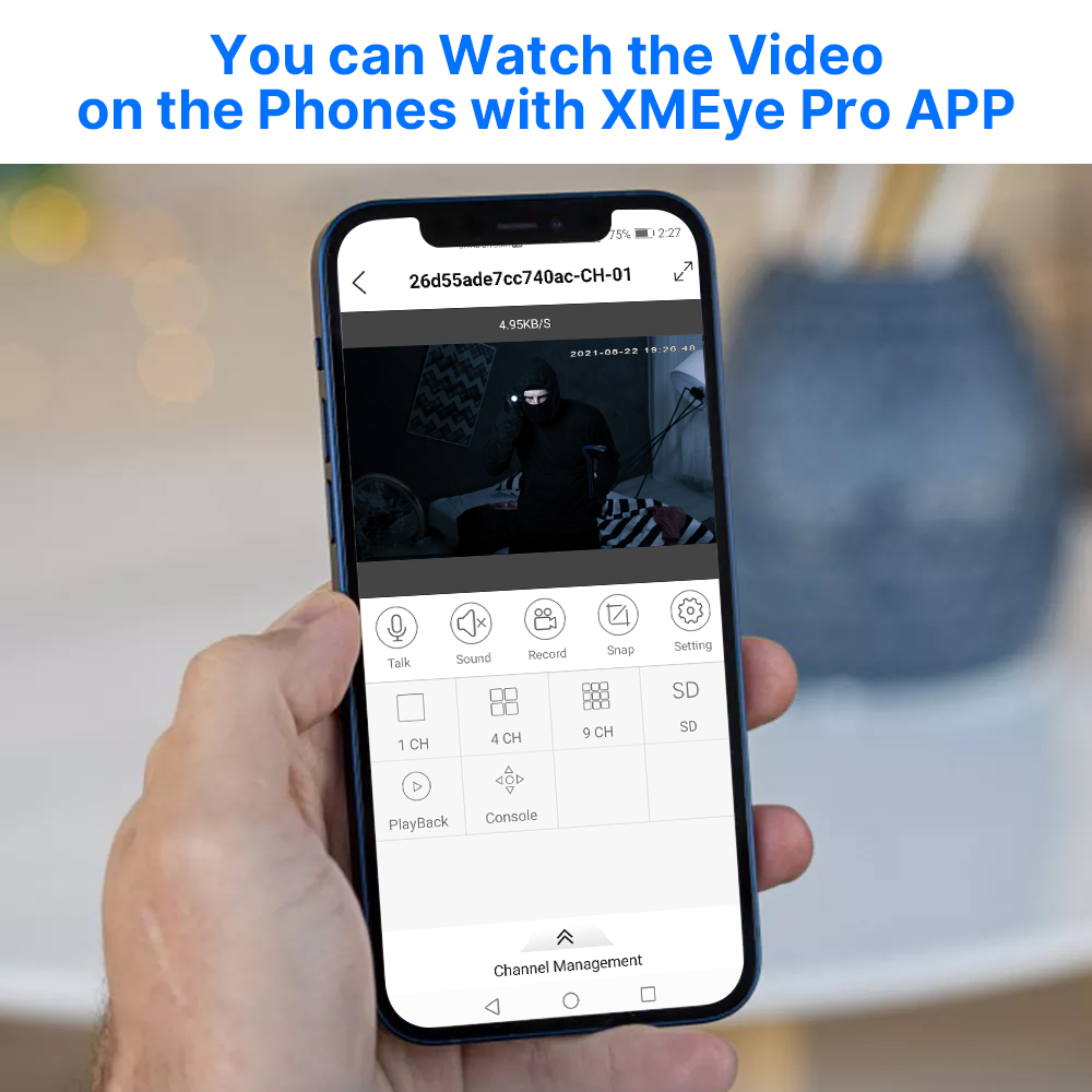 Hiseeu 5MP Audio IP Telecamera - Home Security Nvr recensione e prezzo