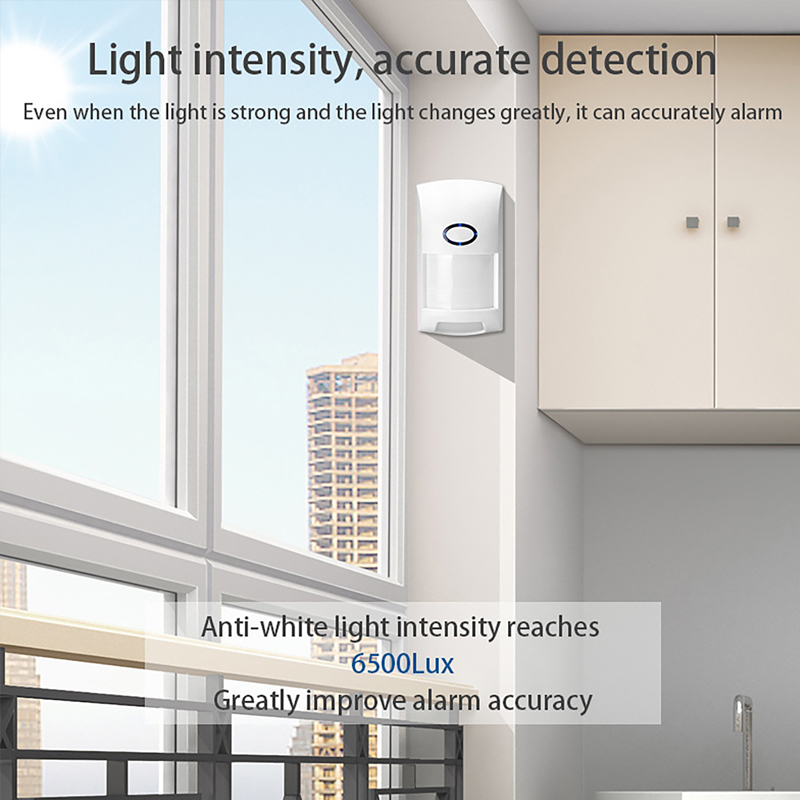 Smart Tuya Sensore di moviment - Home Security System Installation recensione e prezzo