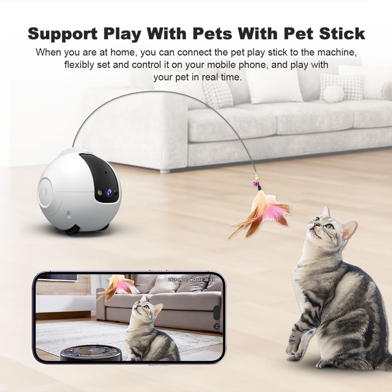 Telecamera di Sicurezza per Ca - Home Security Robot Dog recensione e prezzo